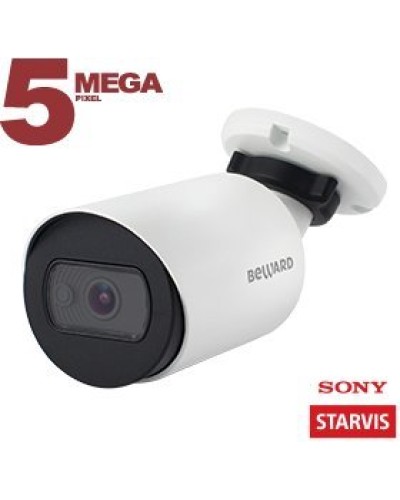 SV3210RC (3.6 мм). Видеокамера IP цилиндрическая. Beward в Новом Уренгое