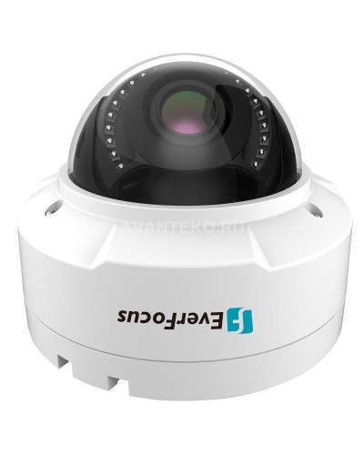 EHN-1250. Видеокамера IP купольная. EverFocus в Новом Уренгое