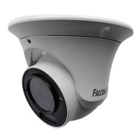 FE-IPC-DV2-40pa. Видеокамера IP купольная. Falcon EYE