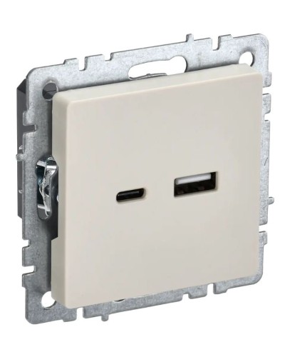 Розетка USB A+C 18Вт РЮ11-1-БрКр бежевый BRITE (BR-U22-018-K10). Розетка USB. IEK в Новом Уренгое