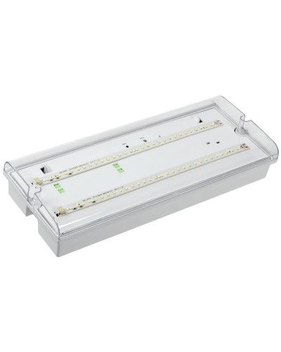 Светильник аварийный ДПА 5042-3 3ч IP65 LIGHTING (LDPA0-5042-3-65-K01). Светильник аварийный универсальный. IEK в Новом Уренгое