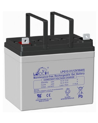 LEOCH LPG 12-31. Аккумулятор герметичный свинцово-кислотный. LEOCH в Новом Уренгое