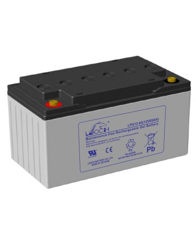 LEOCH LPG 12-65. Аккумулятор герметичный свинцово-кислотный. LEOCH в Новом Уренгое