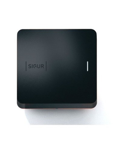 Sigur MR100 Multi. Считыватель. SIGUR в Новом Уренгое