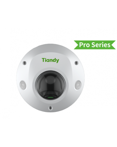 TC-C35PS I3/E/Y/M/H/2.8/V4.2. Видеокамера IP купольная. Tiandy в Новом Уренгое