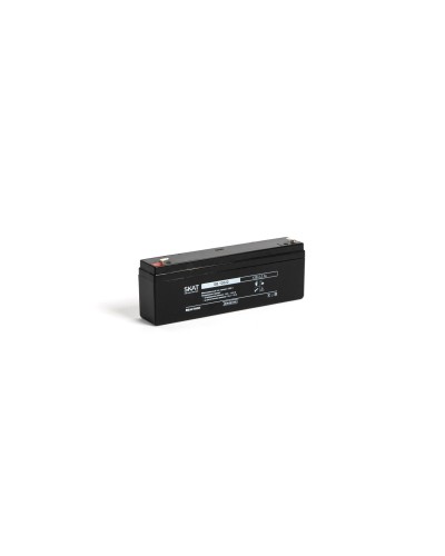 SKAT SB 12022 (2539). Аккумулятор герметичный свинцово-кислотный. Бастион в Новом Уренгое