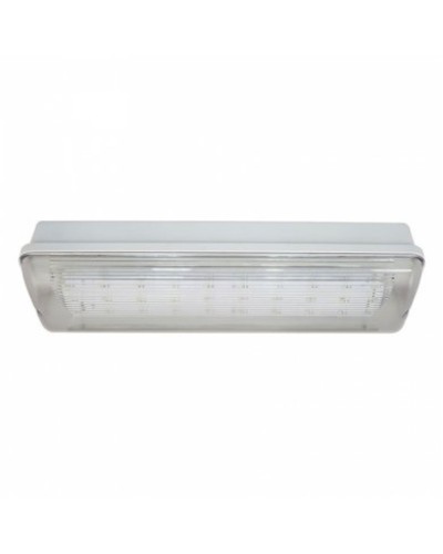SL-223-30LED1.8 исп.1 IP54. Светильник аварийного освещения. ИП Раченков А.В. в Новом Уренгое