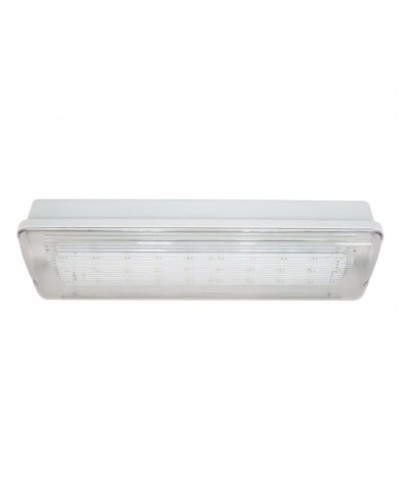 SL-223-30LED1.8 исп. 1, IP65. Светильник аварийного освещения. ИП Раченков А.В. в Новом Уренгое